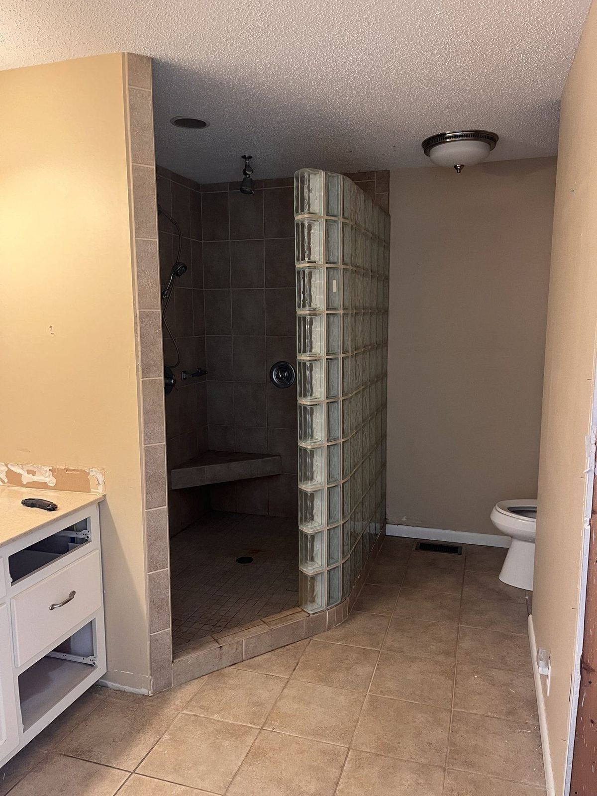 Before — full bathroom with glass block shower